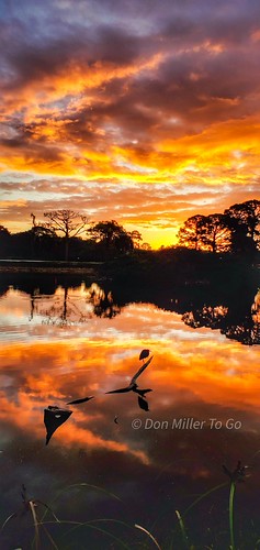 Sunrise by DonMiller_ToGo, sunrise silhouettes s10e nature refle cloudsonfire skypainter