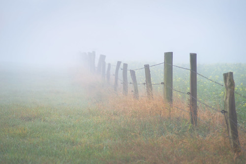 fog morning fence meadow kreisunna holzwickede opensourcesoftware gimp rawtherapee pentax pentaxian landscape simple leadinglines germany deutschland