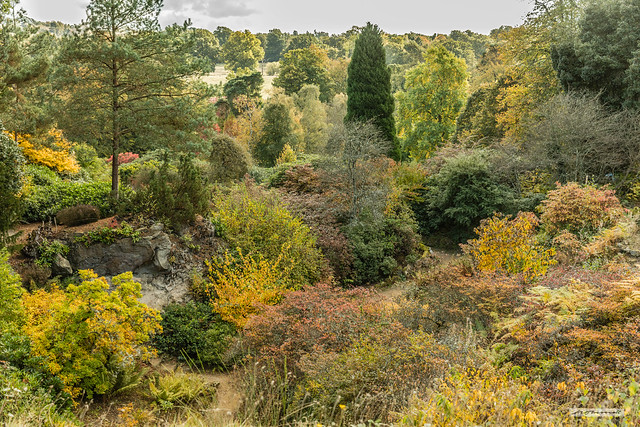 An amazing array of tone, texture and colour in Autumn at Scotney Castle in Kent.