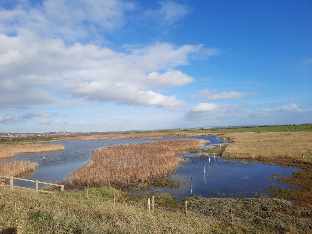 View of Farlington Marshes from the west