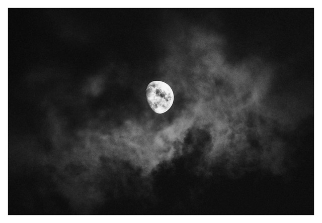 Hay noches en que los lobos están en silencio y aúlla la Luna.