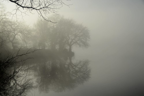 england reservoir trees outdoors autumn staffordshire knypersley countryside view biddulph pool fog
