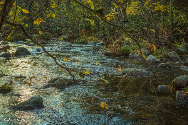 Oregon Creek