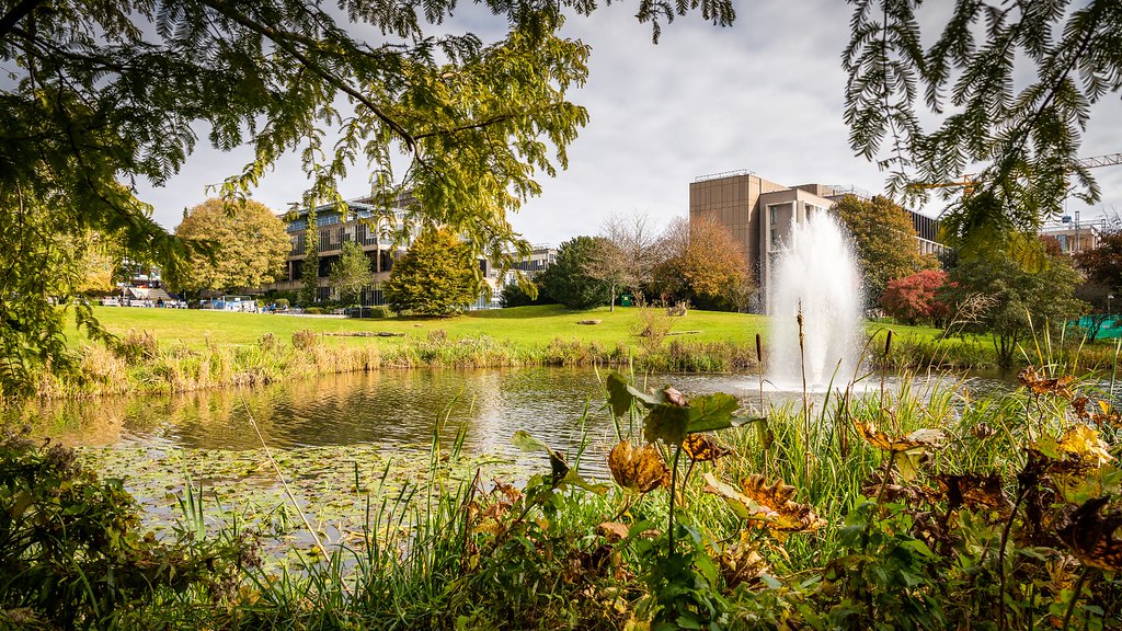 The lake on the University of Bath campus with buildings in the background.