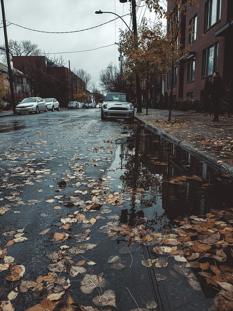 Autumn streets