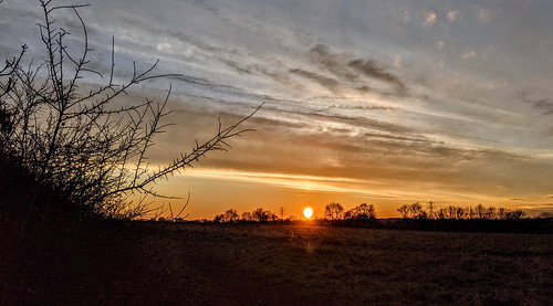 aylestone glen parva leicester leicestershire meadows sunset light east midlands england uk november 2020 nature