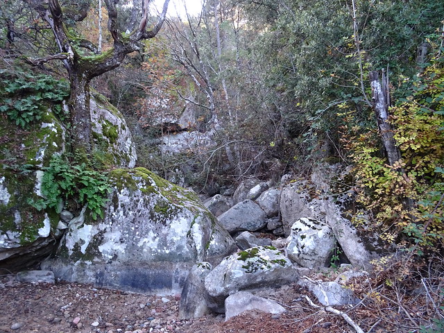 Sentier du Pisciaronu : l'amont du ruisseau de Ranedda à sec