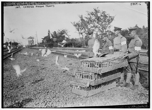 Jap[anese] carrier pigeon troops (LOC)