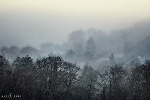 princesrisborough england unitedkingdom whiteleaf whiteleafcross fog mist misty trees landscape soft nature weather olympus omd andyhough andyhoughphotography