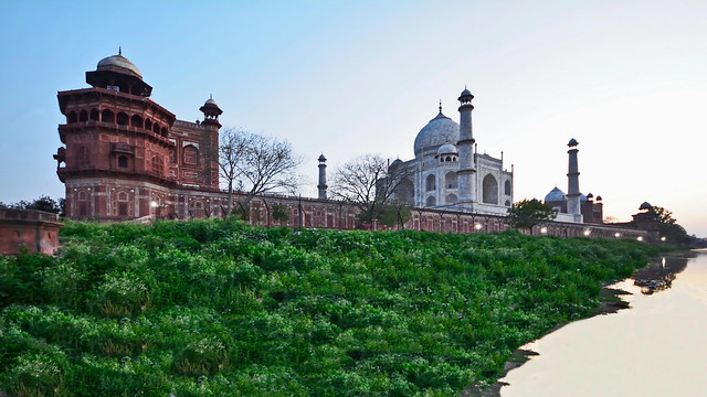 India - Uttar Pradesh - Agra - Taj Mahal - 214b