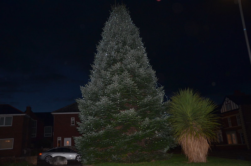 Dunston Christmas Tree Nov 20