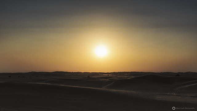 Desert, Safari Dubai - United Arab Emirates