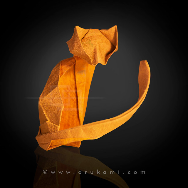 Origami Cat by Himanshu Agrawal