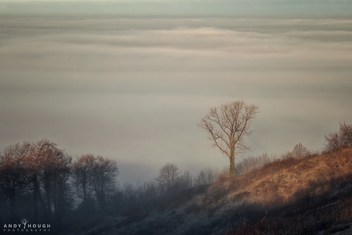 princesrisborough england unitedkingdom whiteleaf buckinghamshire trees landscape fog mist sunlight weather light tree slope hill olympus omd andyhough andyhoughphotography