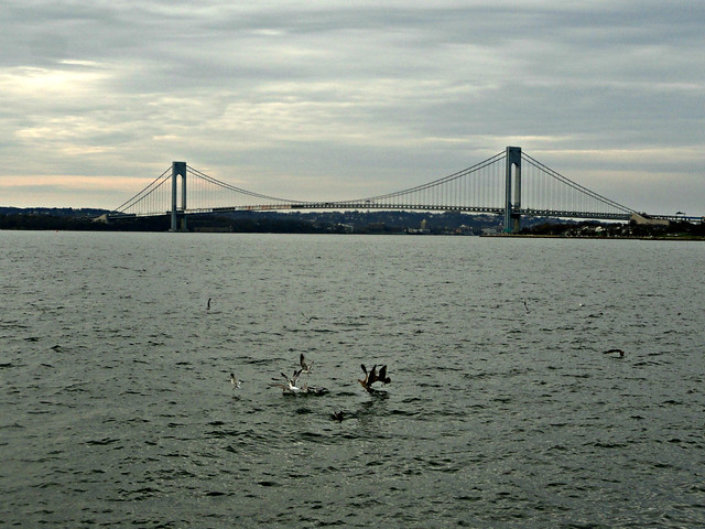 Verrazzano-Narrows Bridge (view from Caesar's Bay in Brooklyn)