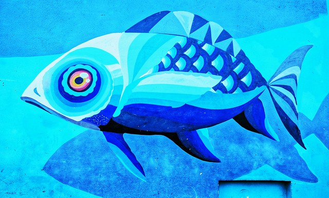 Wall Mural Fish