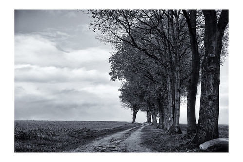 es bwphotography blackandwhite bw landscape landscapephotography dutchlandscape