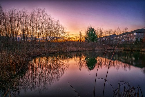 reflection water sunrise pond