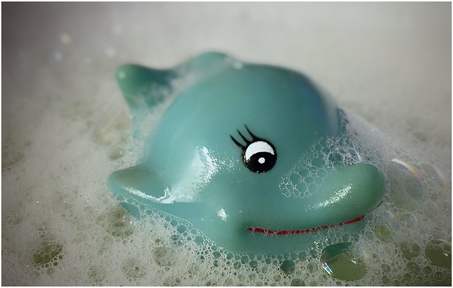 Baby dolphin takes a bath : ) - Macro Mondays