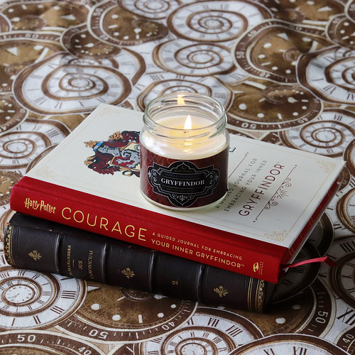 Gryffindor: courage journal