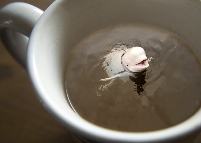 Try our New Beluga Coffee - it's a whale of a deal