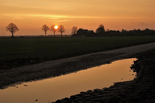 morgen morning sonne sun sonnenaufgang sunrise pfütze puddle natur nature