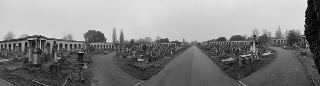 Brompton Cemetery morning walk