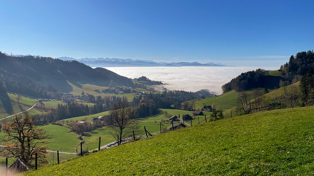 CH ZH Zürcher Oberland: Fälmis - Alp Scheidegg - Fälmis