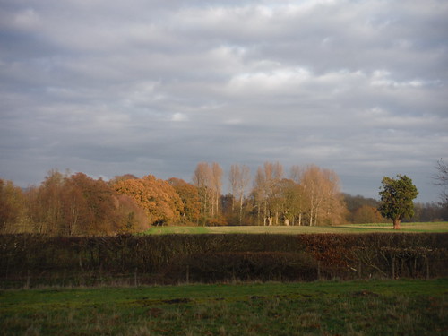 Autumnal Sideview out of Godinton Park SWC Walk 152 - Pluckley to Ashford (Greensand Way Stage 10)