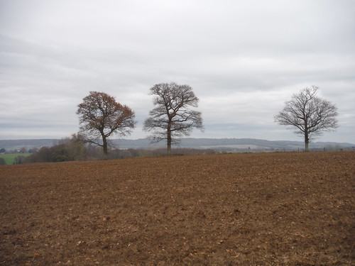 View across field to North Downs, near Little Chart SWC Walk 152 - Pluckley to Ashford (Greensand Way Stage 10)