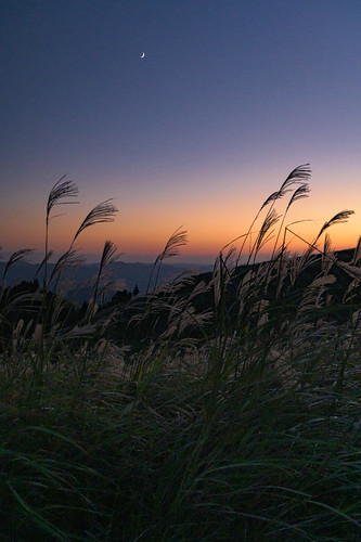 sunset field japan 夕景 和歌山県 ススキ 高原 生石高原 海草郡
