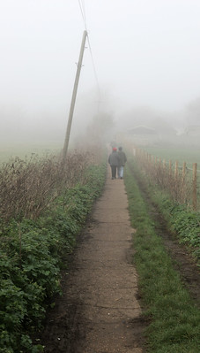 A walk in the mist