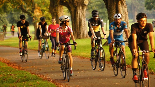 cycling cardiff olgphotography sunset landscape park active social friend sport orange green popular healthy lifestyle life helmet safety trees tree wales happy talk