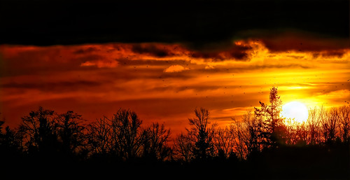 landscape sunset november30 aldergrove bc crows