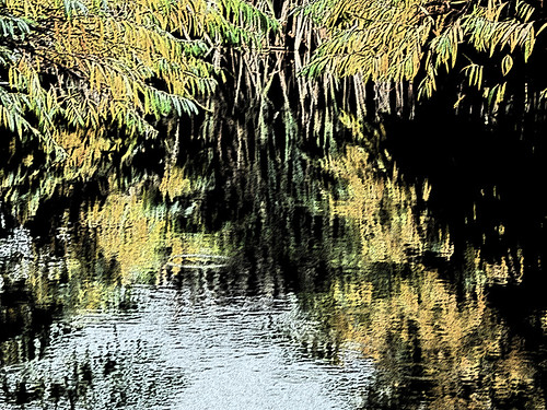 The duck pond on Granville Island in Vancouver's November; run through Photoshop's Sumi-e filter