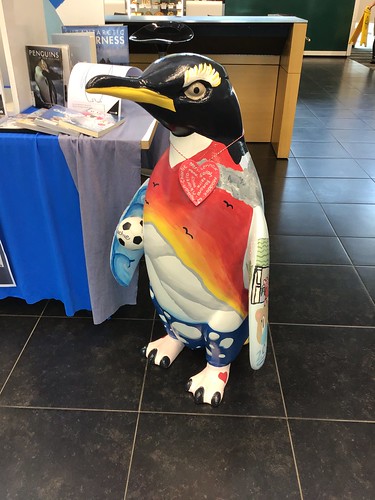 Pop Up Penguins at South Library