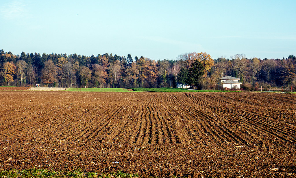 Field near Luterbach