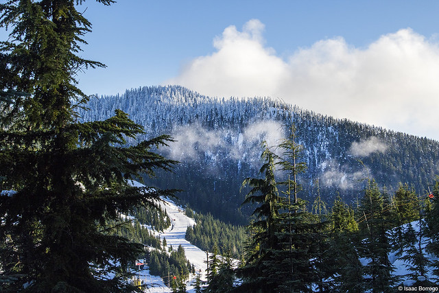 Snowy Slopes of Cypress Mountain