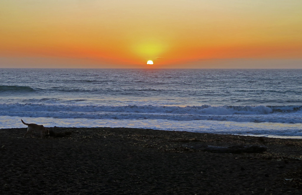 Sunset at Shamel Community Park - Cambria, California