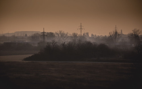 osijek croatia hrvatska 2020 hazy haze foggy fog winter morning landscape trees tree power line ngc