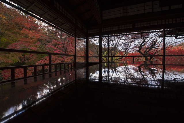 Late Autumn Reflections / 晩秋のリフレクション