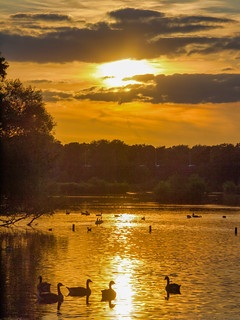 20190715Fleet Pond < Hampshire < England, Sunset-6