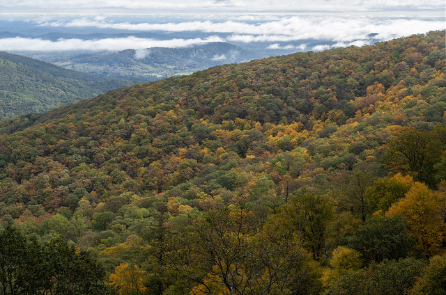 Fall-Colored Ridge