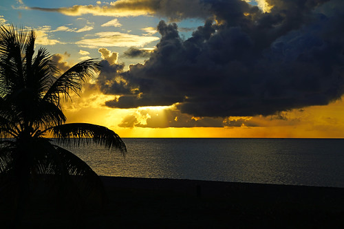 Nevisian sunset with a palm tree silhouette, Chrishi Beach, St Kitts & Nevis by Andrey Sulitskiy,                                saintkitts nevis caribbean