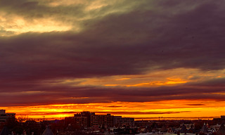 2020.12.02 Sunrise over Washington, DC USA 337 10019-2