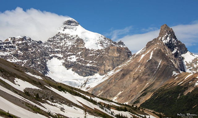 Parker Ridge Trail - Alberta(Canada)