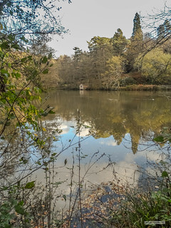 Looking eastwards across Westwood Lake in the grounds of Wakehurst Place, West Sussex.
