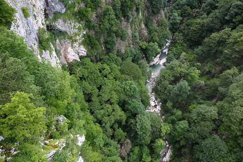 horizontal outdoors nopeople view canyon river satsiskvilo water narrow vistapoint height nature forest okatse gordi perspective birdeyeview lookingdown trail cliff rock steep vertical trees green travel travelling color colour june 2018 vacation canon camera photography canon5dmkiii greatercaucasusmountains khoni imereti georgia eurasia easterneurope westasia
