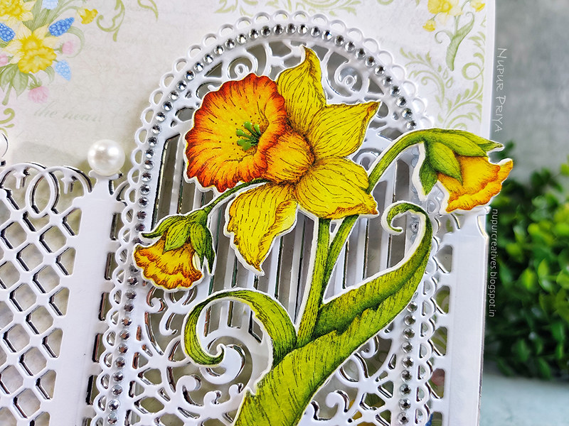 Delightful Daffodils Window Card_Nupur Priya_03