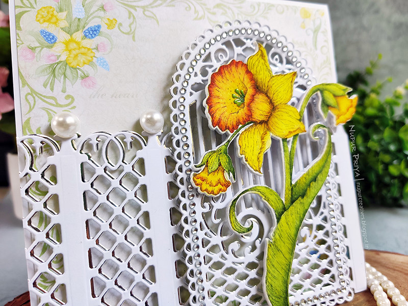 Delightful Daffodils Window Card_Nupur Priya_02
